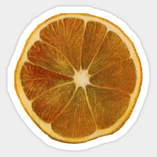 Vintage Orange Slice Sticker
